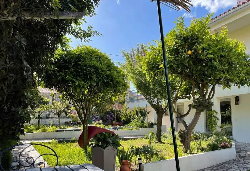 Majatalo Surf & Kite   Villa Nortada