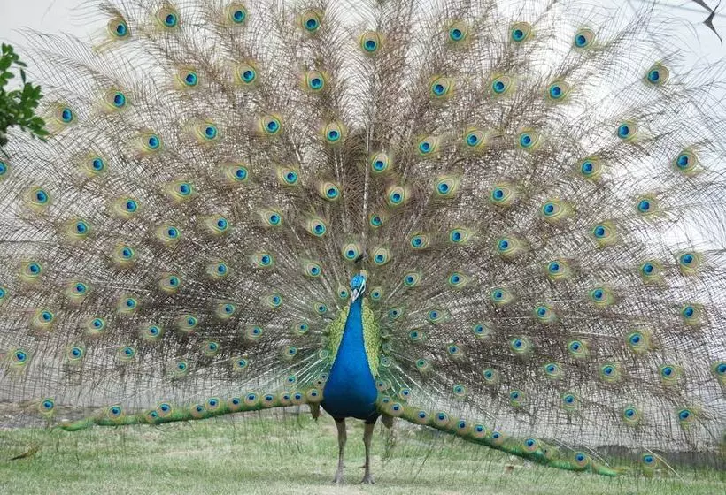 فندق Dongguan Mcb Lake