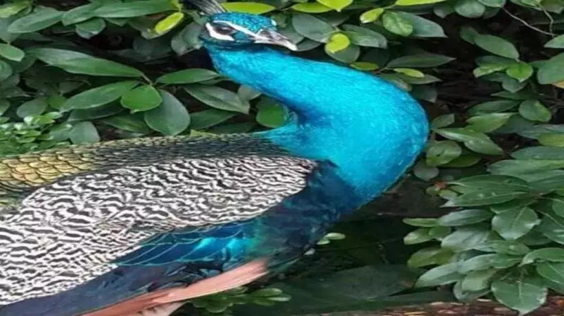 فندق Dongguan Mcb Lake