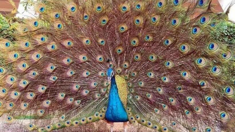 Hotel Dongguan Mcb Lake