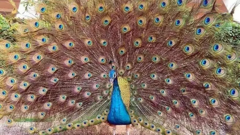 فندق Dongguan Mcb Lake