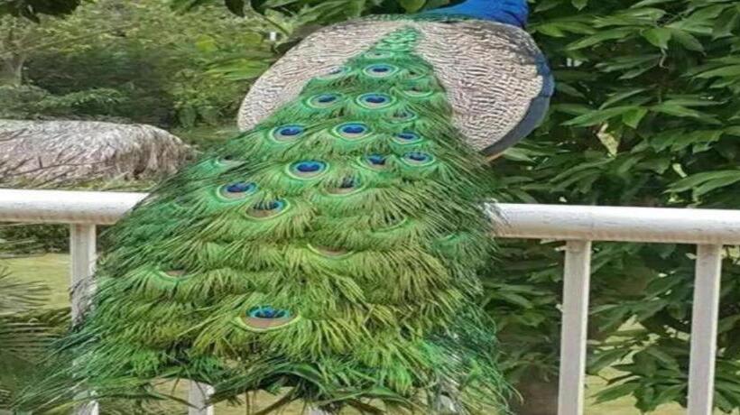 Hotel Dongguan Mcb Lake