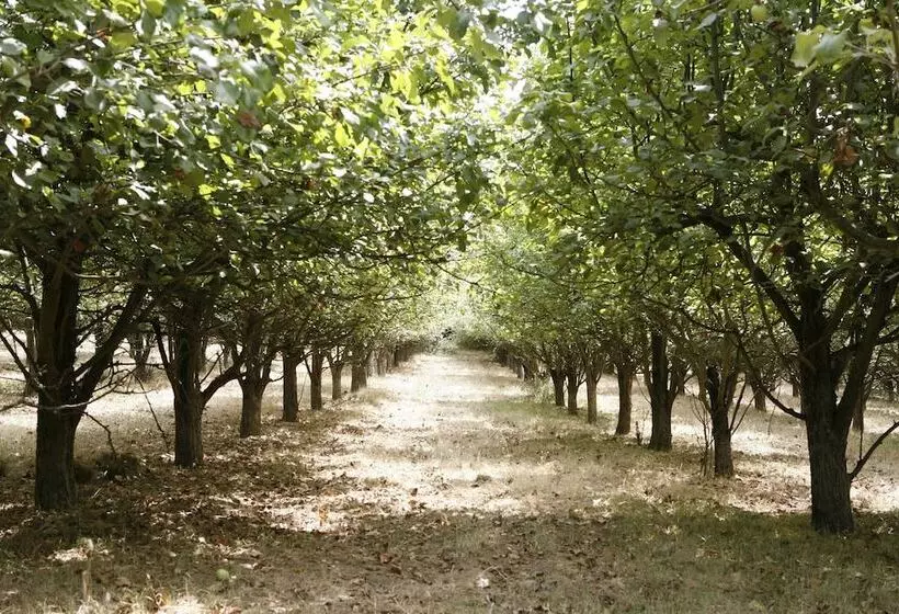 בית מלון כפרי Parador Casa da Insua