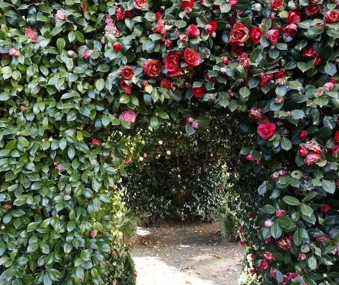 בית מלון כפרי Parador Casa da Insua