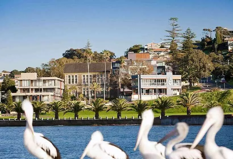 酒店 The Sebel Kiama