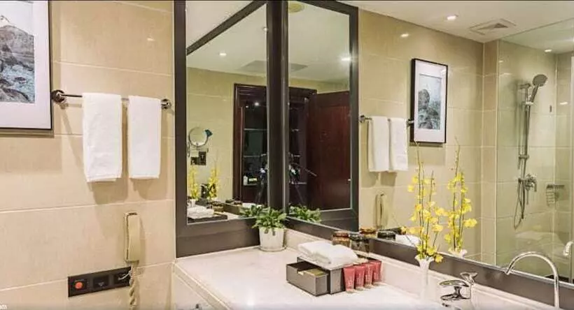 酒店 Vaya International