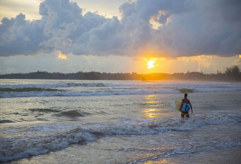 酒店 Parangi Weligama Bay Thema Collection