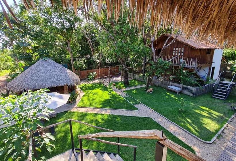 پانسیون Casa Saimiri