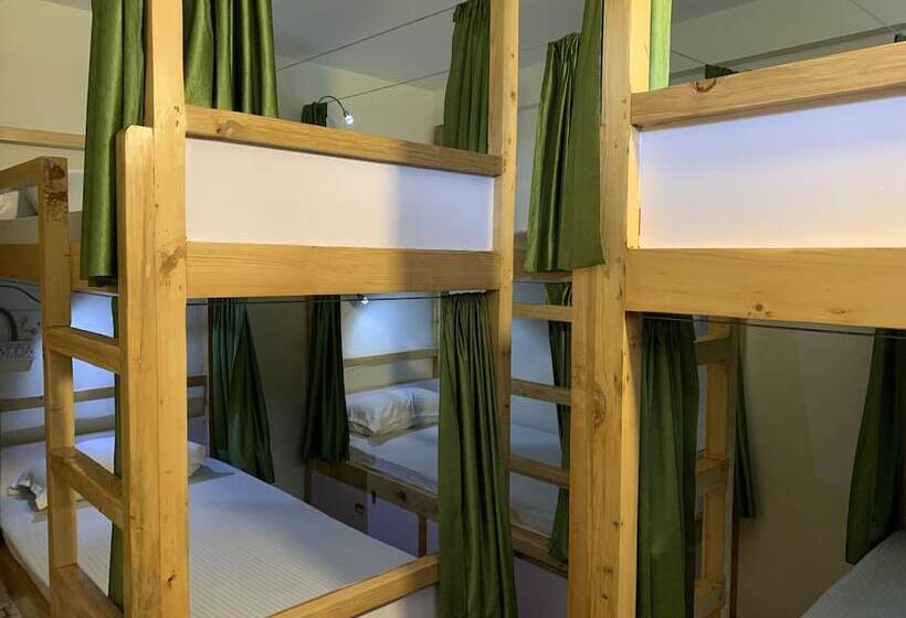 הוסטל Jungle By Sturmfrei Manali