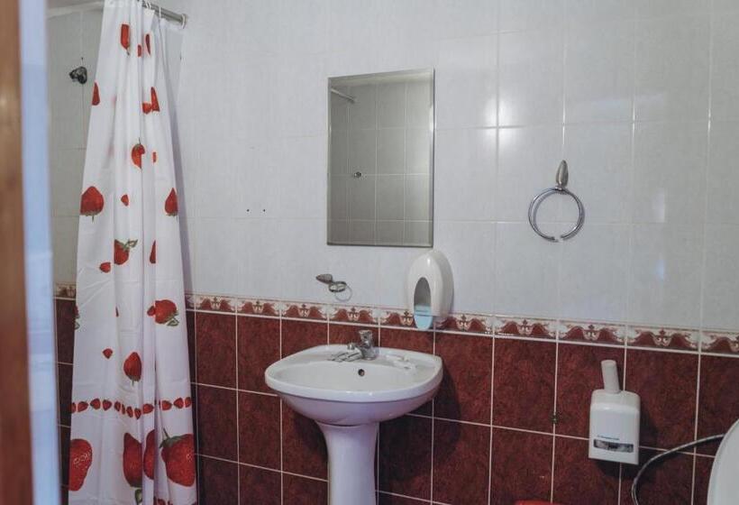 فندق турянська долина