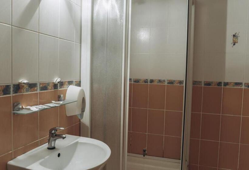 فندق турянська долина