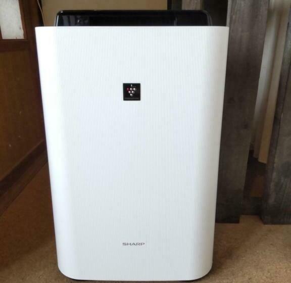 پانسیون ゲストハウスこねくと