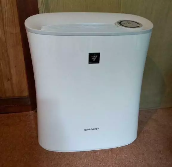 پانسیون ゲストハウスこねくと