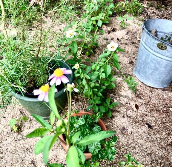 Пансион Travelers House おーさんてぃん青空舎