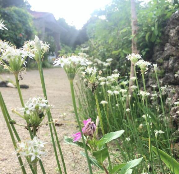 Пансион Travelers House おーさんてぃん青空舎