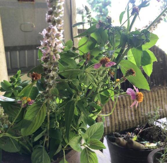 Пансион Travelers House おーさんてぃん青空舎