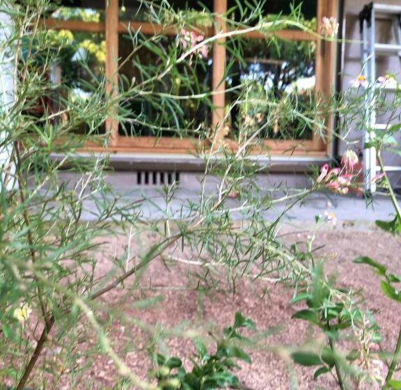 Пансион Travelers House おーさんてぃん青空舎