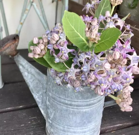 Majatalo Travelers House おーさんてぃん青空舎