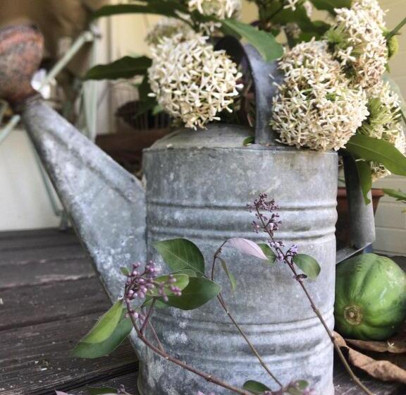 Пансион Travelers House おーさんてぃん青空舎