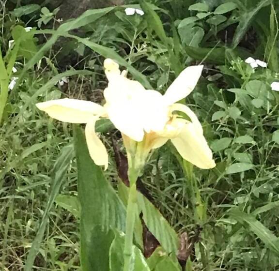 Пансион Travelers House おーさんてぃん青空舎