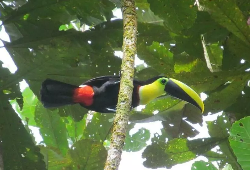 ホテル Costa Real