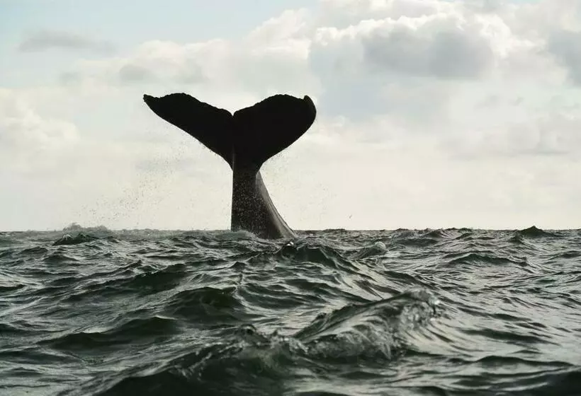 ホテル Costa Real