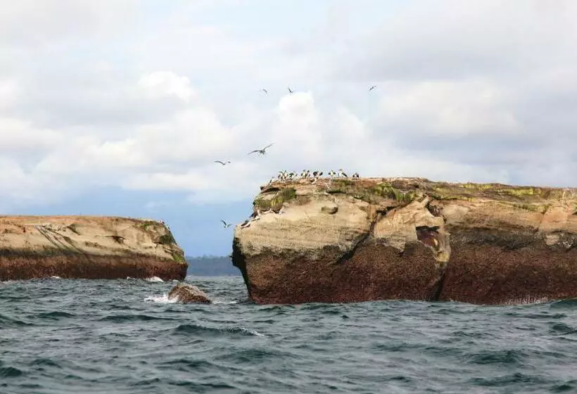 ホテル Costa Real