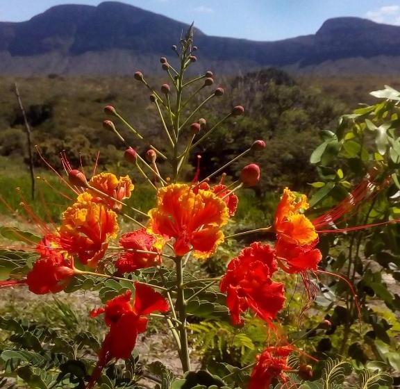 Donana Hostel De Guiné