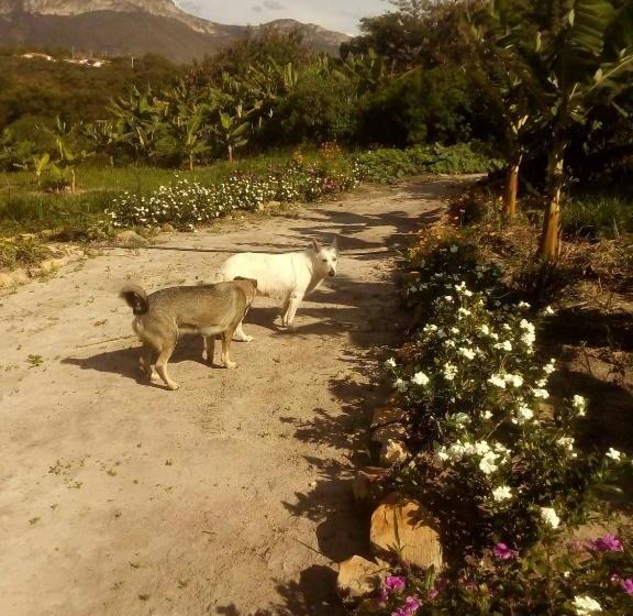 Donana Hostel De Guiné