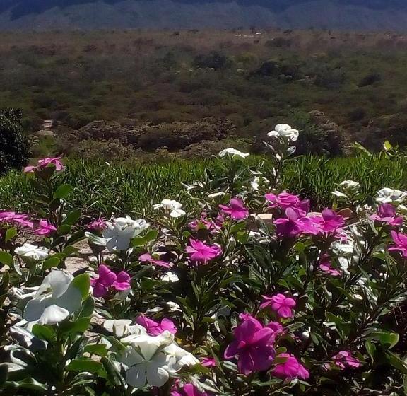 Donana Hostel De Guiné