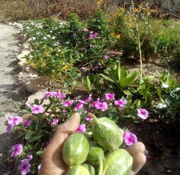 Donana Hostel De Guiné