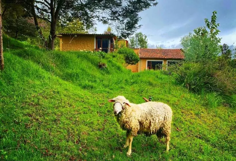 Aamiaismajoitus (B&B) Finca Agrreste