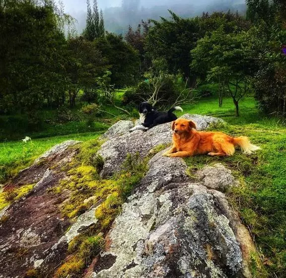 Aamiaismajoitus (B&B) Finca Agrreste