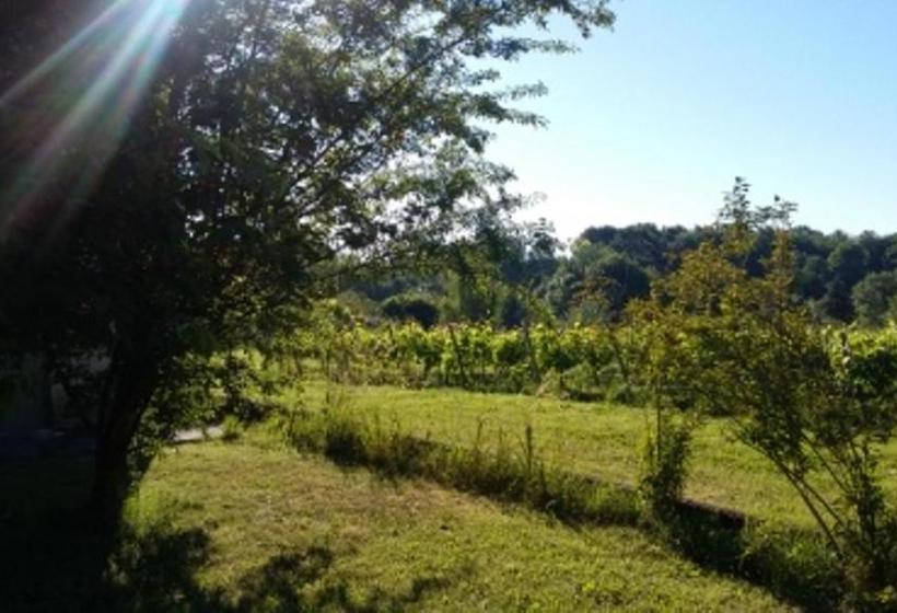 Bed and Breakfast La Petite Auberge