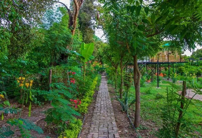 Glamping Girardot & Hotel Puerta Del Sol Girardot