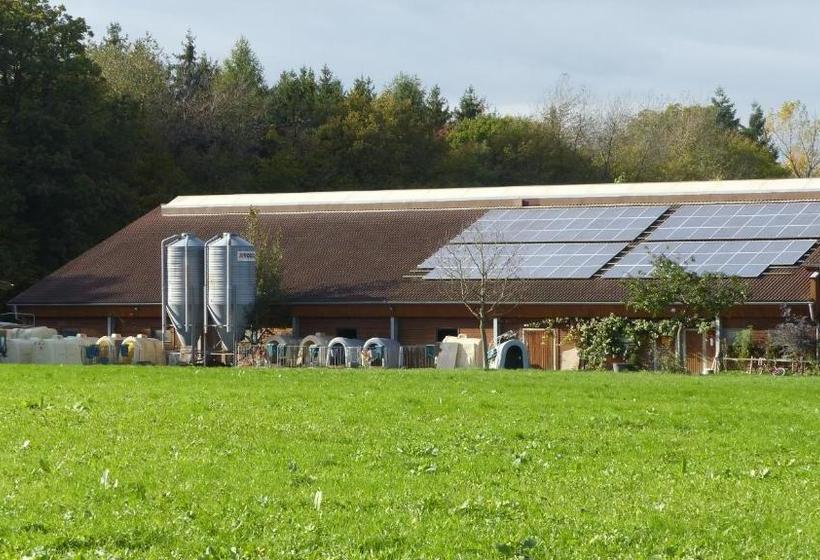 Отель Ferienbauernhof Storchenhäusle