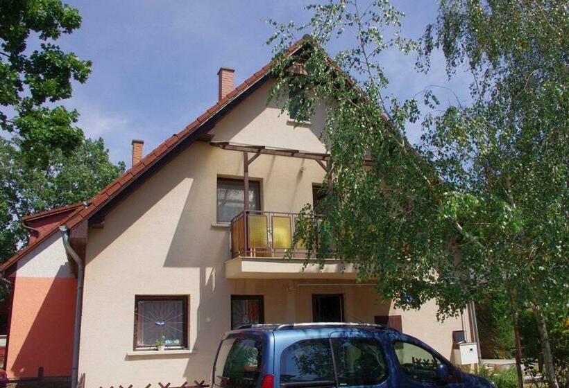 ペンション Bíró István Vendégház