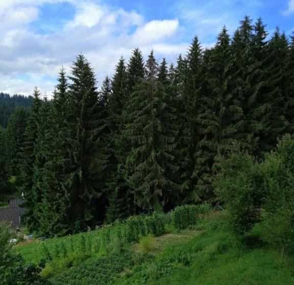 ペンション Marichka