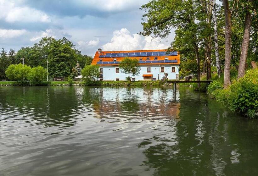 Panzió Penzion Bačalský Mlýn