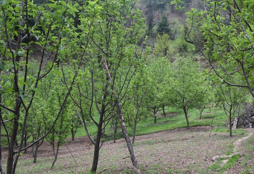 Albergue Thira Chanshal