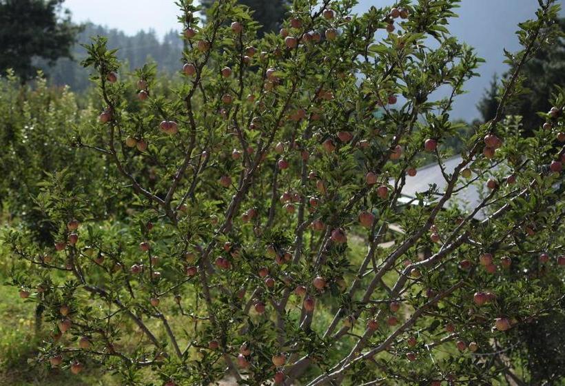 Albergue Thira Chanshal