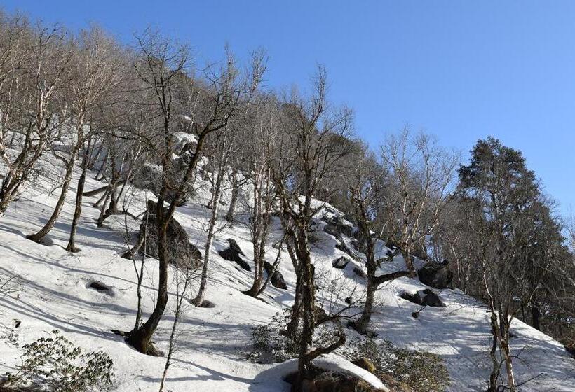 Albergue Thira Chanshal