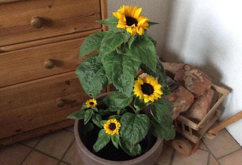 فندق Ferienbauernhof Koller    Urlaub Am Bauernhof