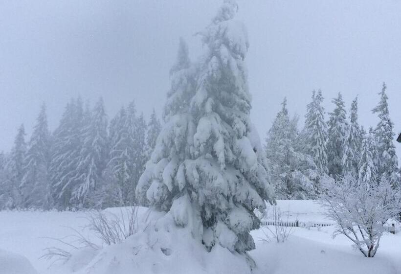 فندق Ferienbauernhof Koller    Urlaub Am Bauernhof