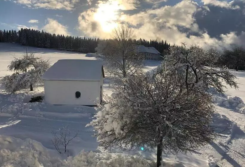 ホテル Ferienbauernhof Koller    Urlaub Am Bauernhof