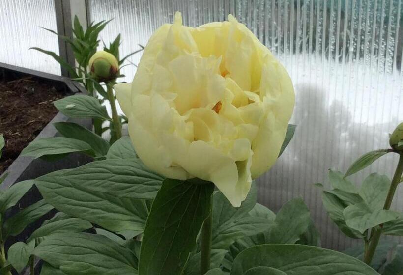 فندق Ferienbauernhof Koller    Urlaub Am Bauernhof