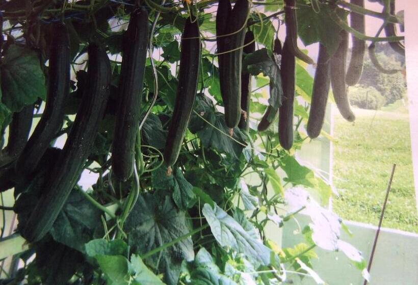 فندق Ferienbauernhof Koller    Urlaub Am Bauernhof