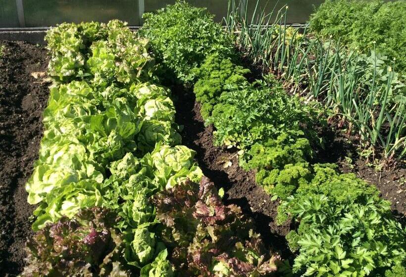 فندق Ferienbauernhof Koller    Urlaub Am Bauernhof