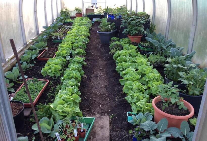 فندق Ferienbauernhof Koller    Urlaub Am Bauernhof