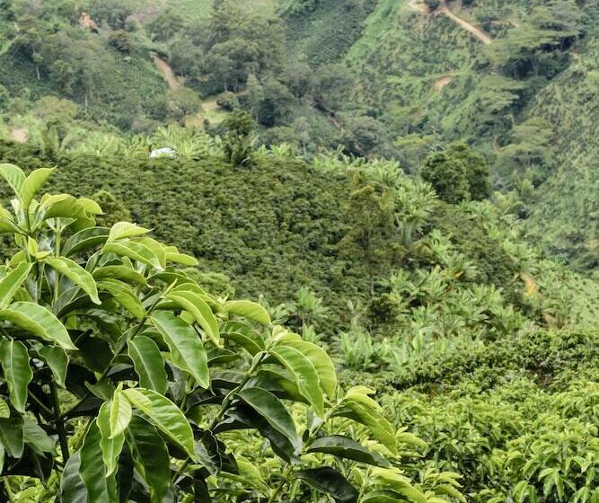 ホテル Finca Boutique El Diamante